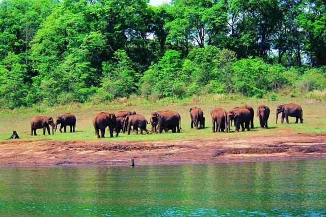 Beach thekkady